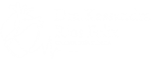 Logo Dra. Kassandra Cardióloga CDMX
