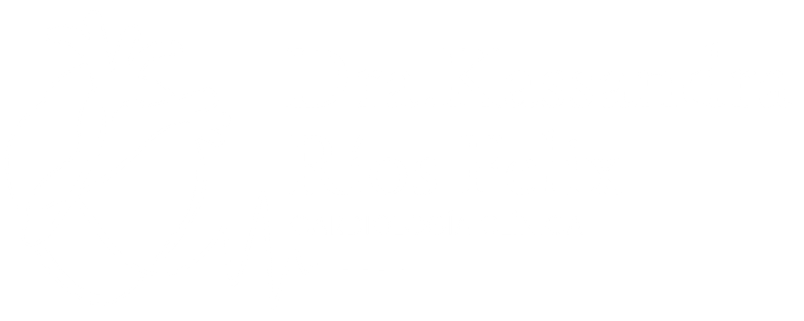 Logo Dra. Kassandra Cardióloga CDMX